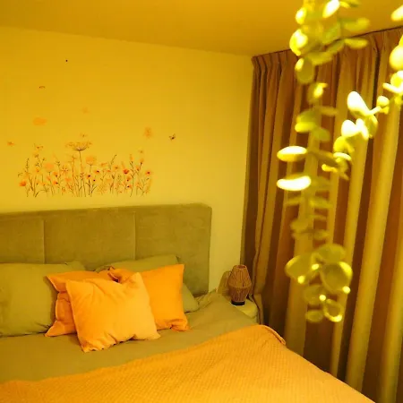 Amsterdam 25 min , Beach 10 Minutes 2 bedrooms