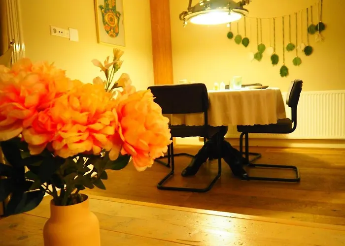 The Perfect Spot Apartmán Akersloot